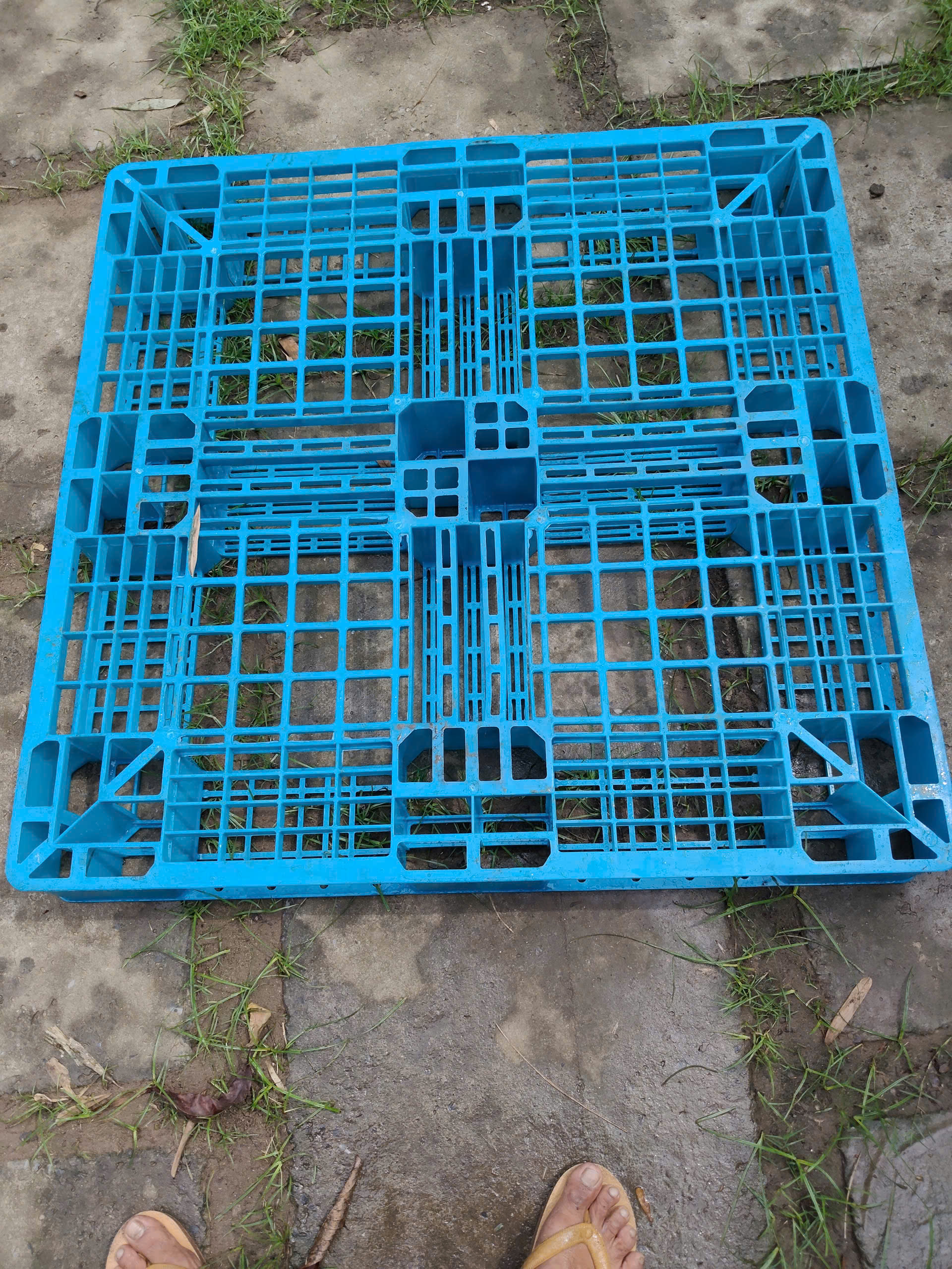 Pallet nhựa cũ KT 1000x1000x120 (xanh dương)