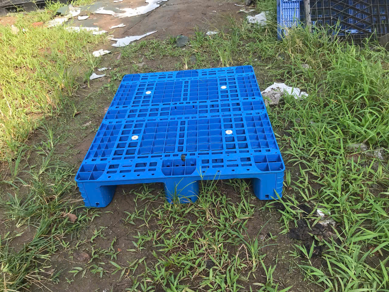 Pallet nhựa 1200- 800x 150mm&nbsp;&nbsp;